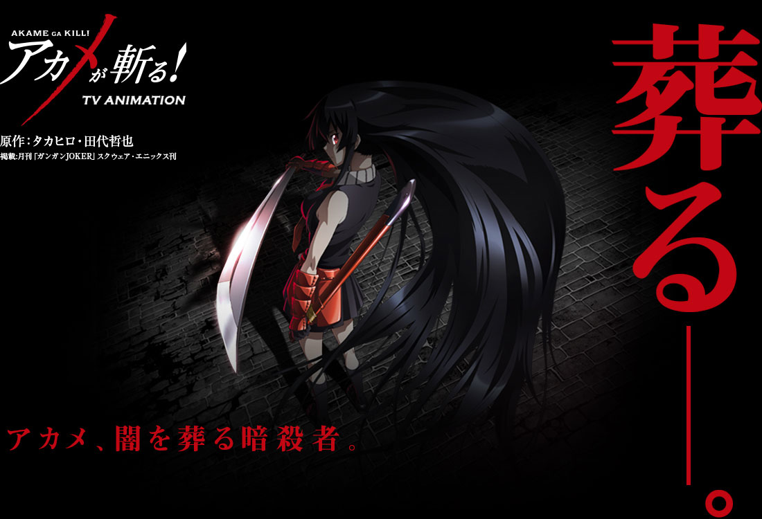Akame ga KILL! Anime Airing 2014 Visual