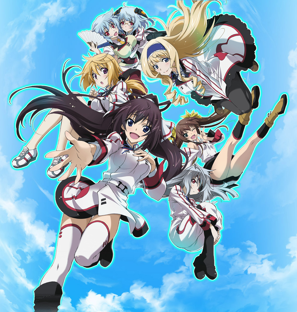 IS Infinite Stratos 2 Laura Houki Cecilia B2 Tapestry Wall Scroll animate