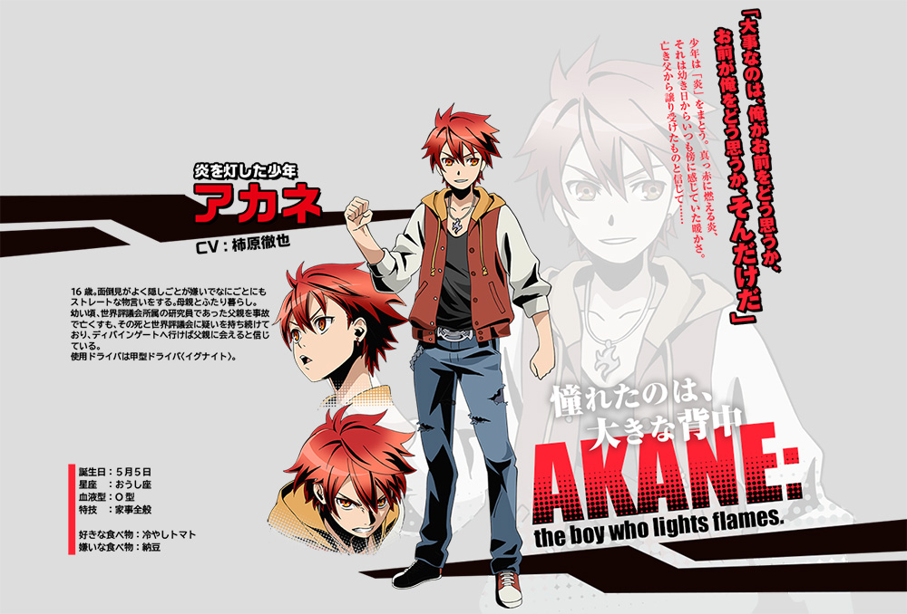 Divine-Gate-Anime-Character-Designs-Akane