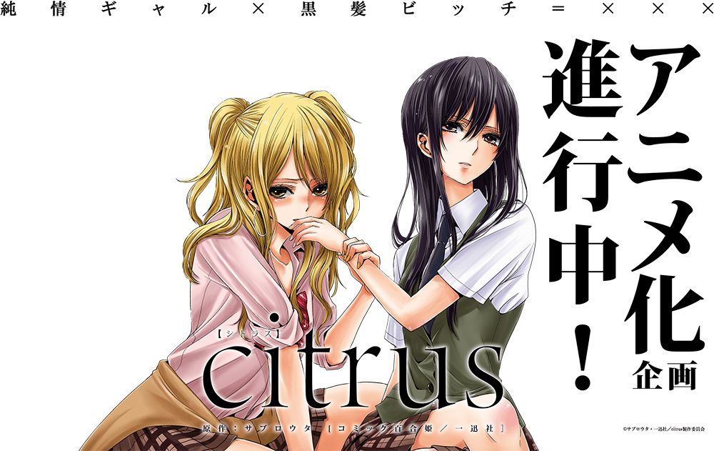 Citrus-Visual-Anime-Project